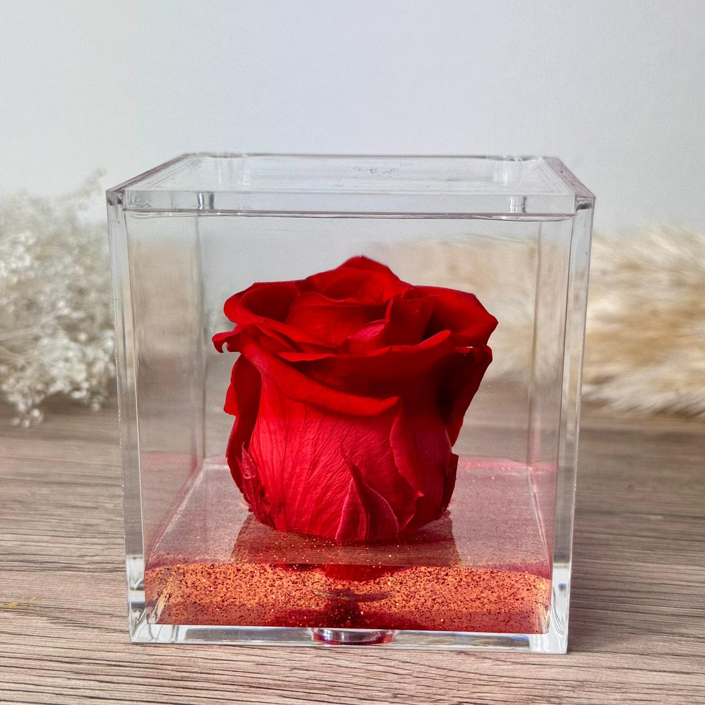 Rosa rossa in cubo da 8 cm