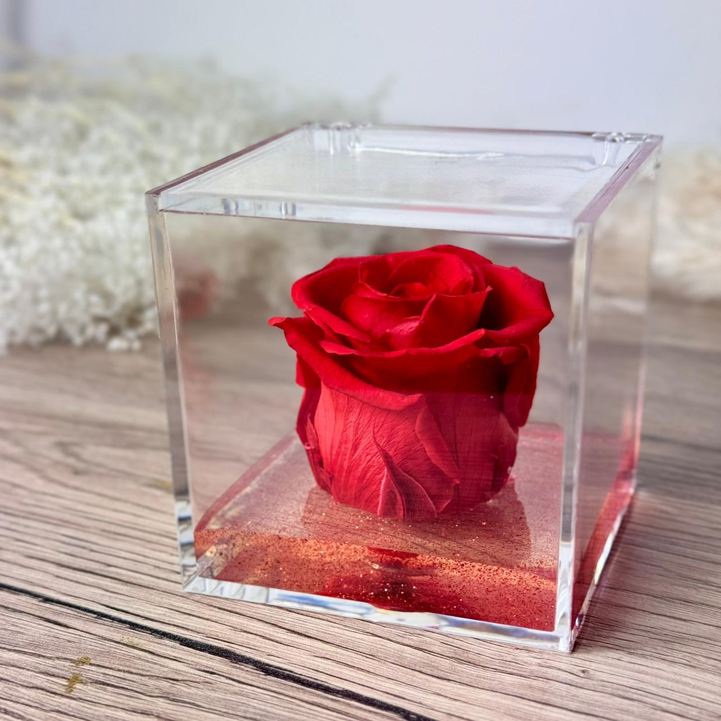 Rosa rossa in cubo da 8 cm